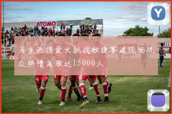 马克西携爱犬挑战敏捷赛道现场观众热情高涨达15000人
