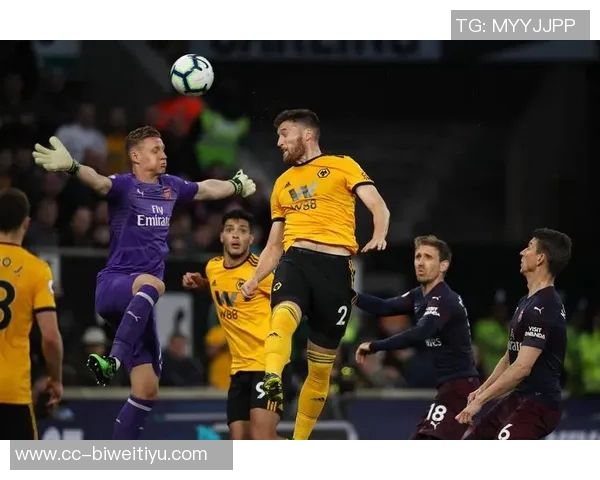 狼队多赫蒂成功接受腕舟骨骨折手术预计短期内重返赛场